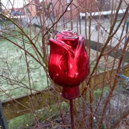 Ms Rungholt, Sandwall